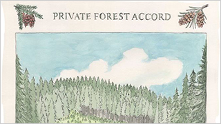 Oregon Private Forest Accord