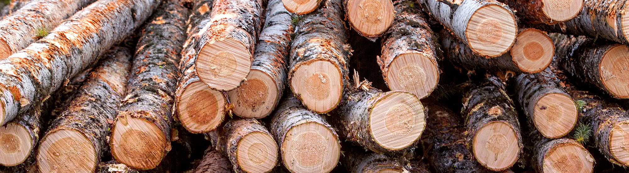 Kalispell, Montana Jobs Weyerhaeuser