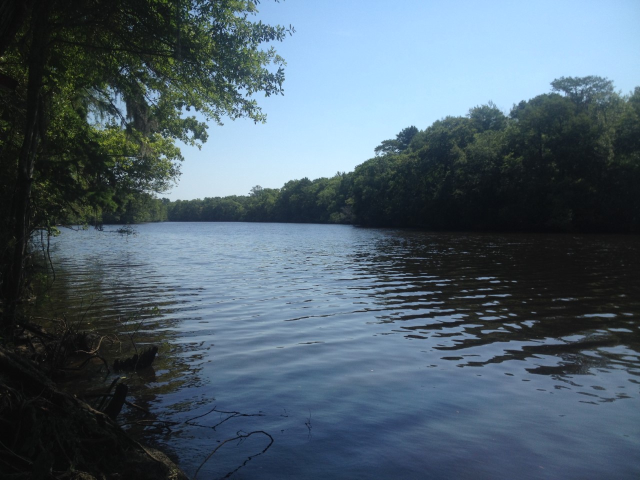 Image of the Ace Basin mitigation bank in South Carolina.