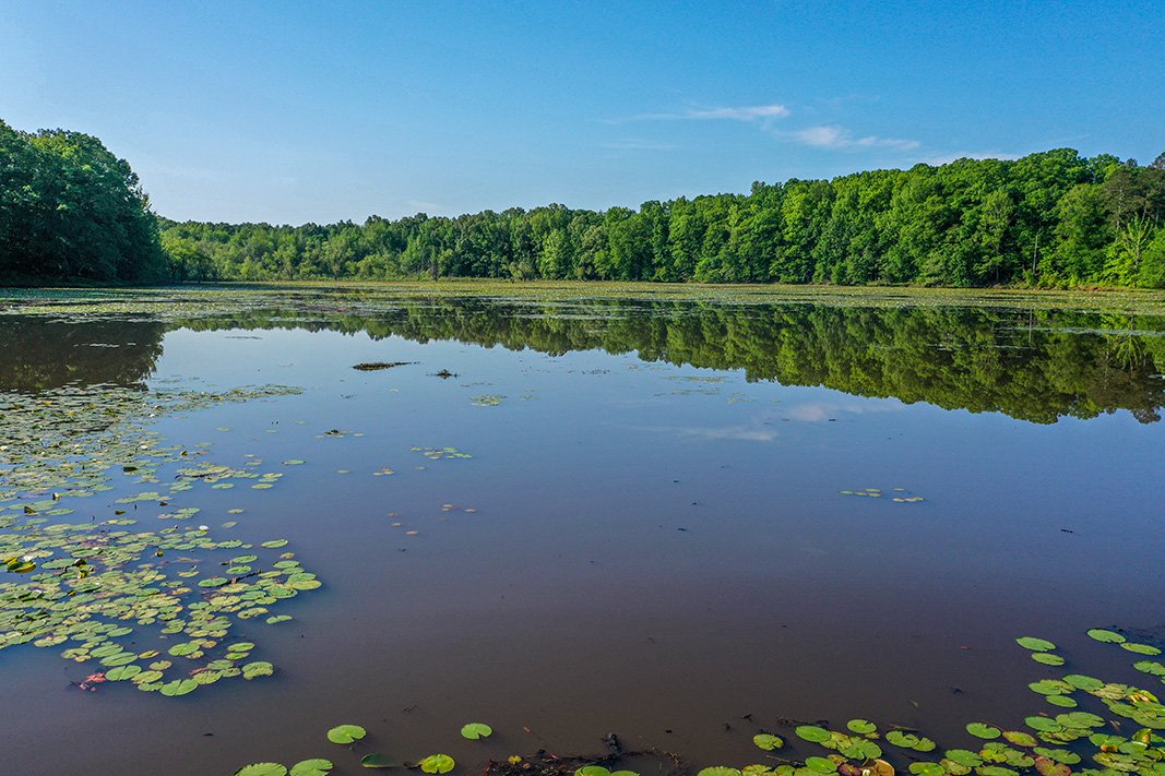 A scenic view of a lake surrounded by forests.