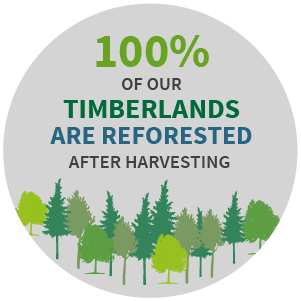 100% of our timberlands are reforested after harvesting