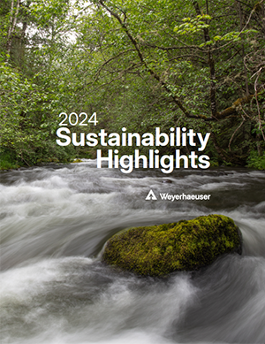 Image of the 2024-25 Sustainability Highlights cover, with a field of trees in the foreground and a mountain in the background.