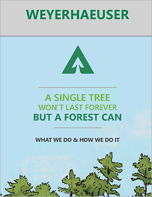 PDF showing the process through which our products and operations adhere to our sustaibility strategy.