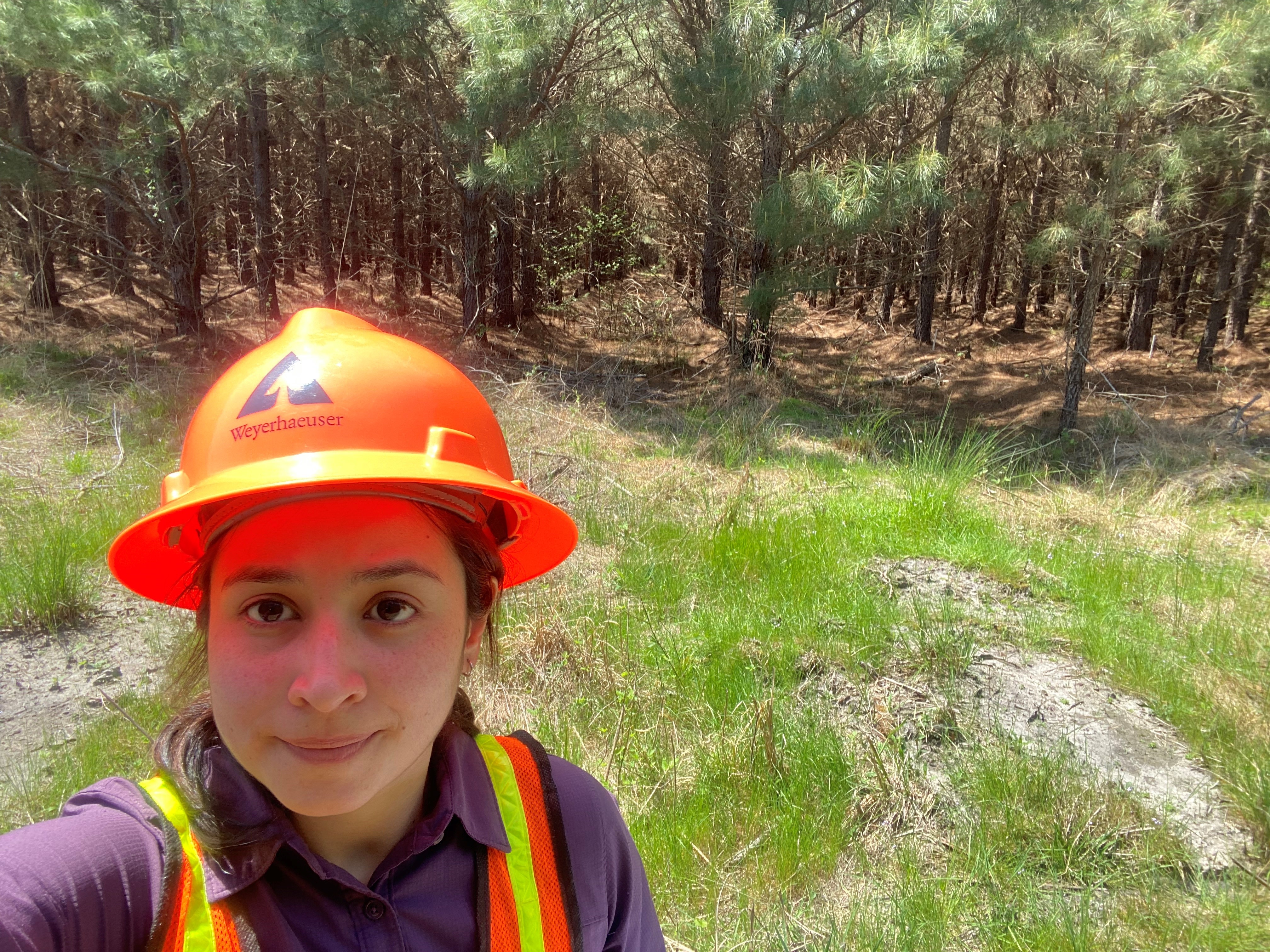 Image of Laura Ramirez on a site visit in North Carolina. Laura is wearing an orange hardhat and safety vest. In the background is woodlands. Beneath the orange safety vest, Laura is wearing a purple shirt.