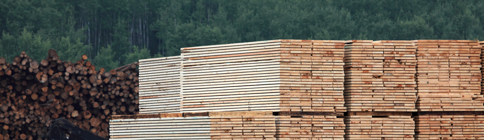Grande Prairie, Alberta Jobs Weyerhaeuser