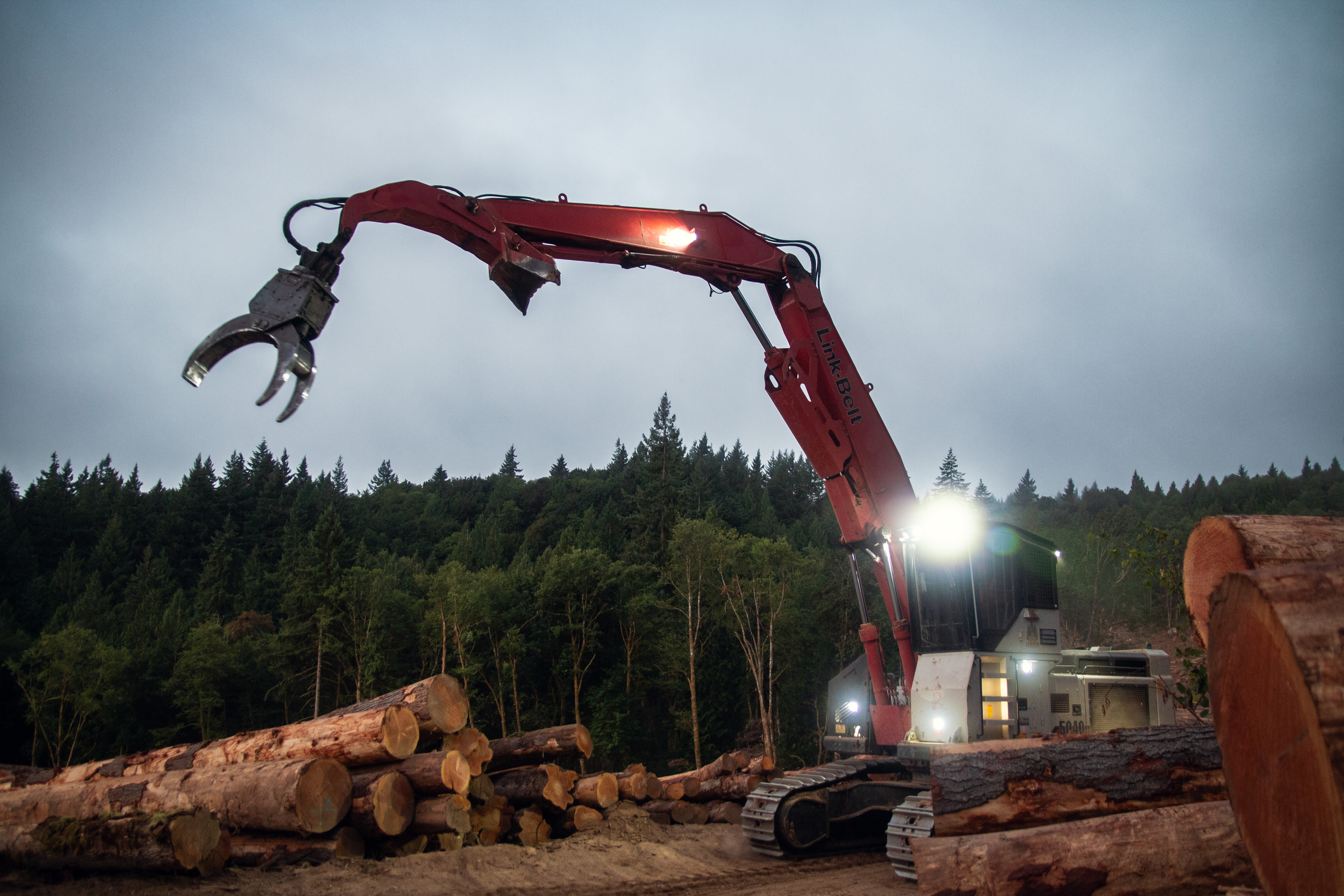 Image of logs being selected to donate to the Portland Zoo's Elephant Habitat exhibit.