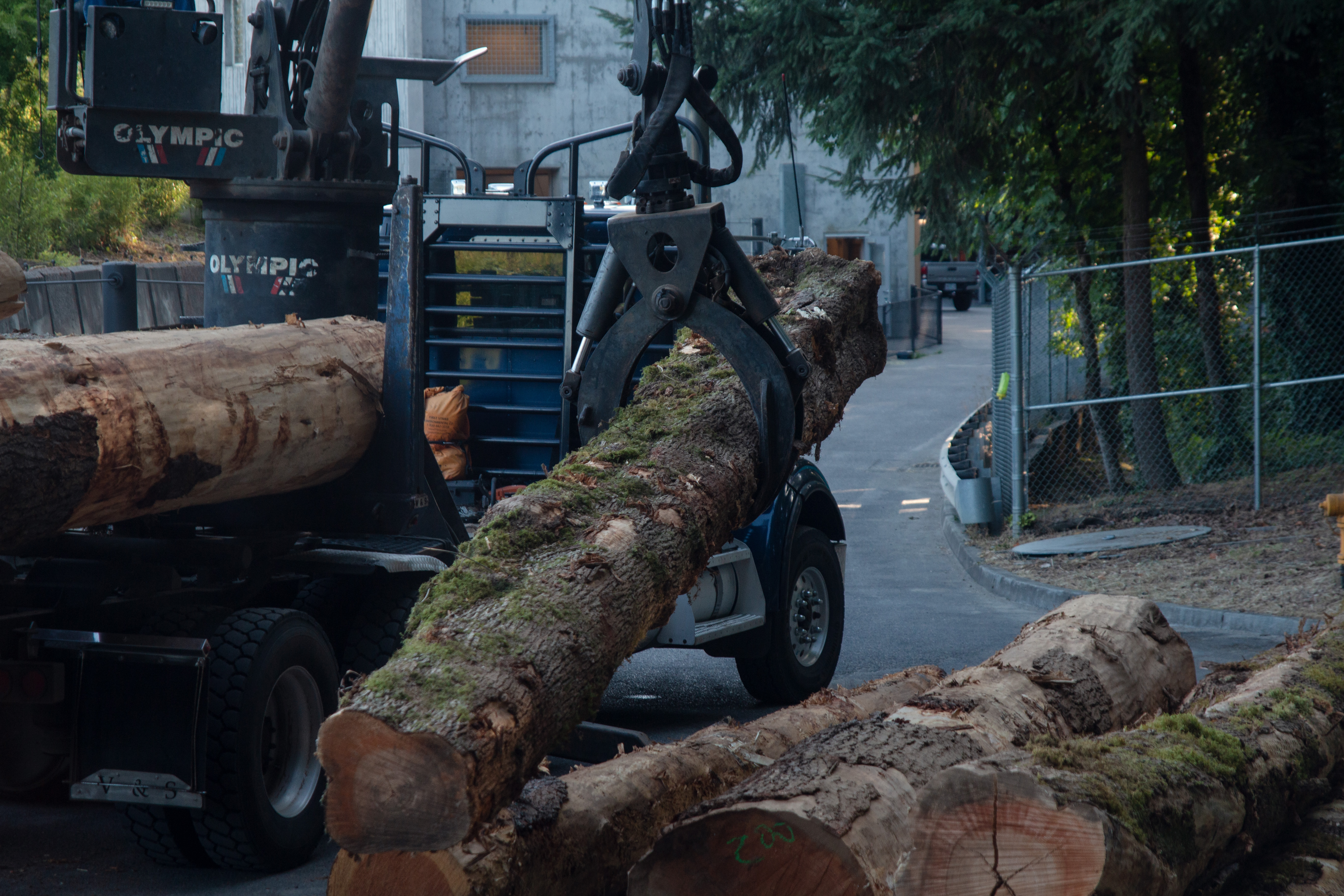 Image of logs being taken off the truck in order to be donated to the elephant exhibit at the Portland Zoo.