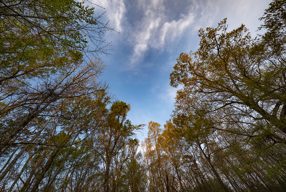 Climate-forward Management