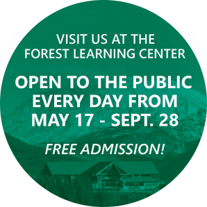 Forest Learning Center 2025 Hours. The graphic is a green background with an image of the Forest Learning Center with white text, which says the Forest Learning Center is open to the public every day from May 17 through September 28, with free admission.
