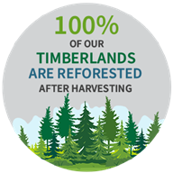 100% of our timberlands are reforested after harvesting