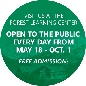 Forest Learning Center 2022 Hours