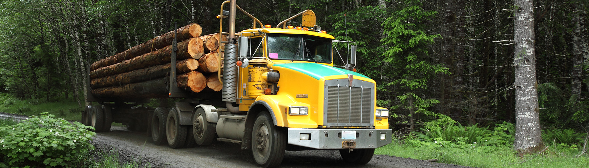 U.S. West Log Sales Weyerhaeuser