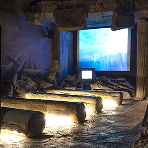 Forest Learning Center Exhibit 