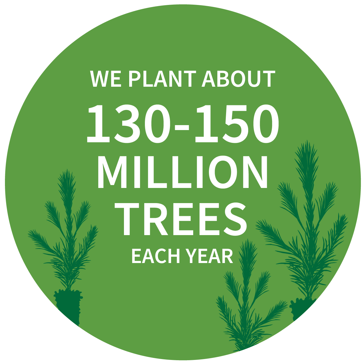 We plant about 130-150 million trees each year