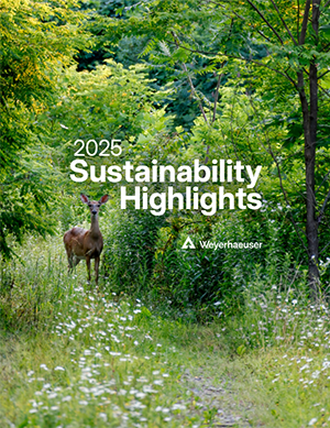 2023-2024 Sustainability Highlights Image of the 2024-25 Sustainability Highlights cover, with a field of trees in the foreground and a mountain in the background.
