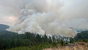 Image of the 2023 Bedrock Fire in Oregon.