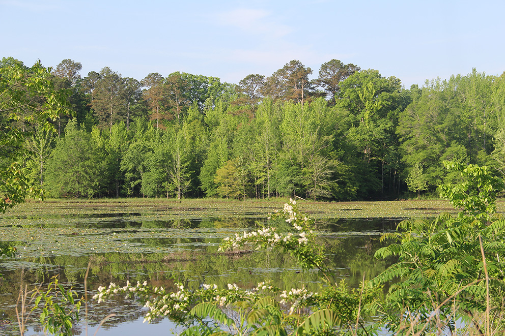 Climate-forward Management