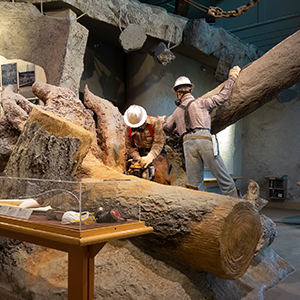 Forest Learning Center Exhibit 