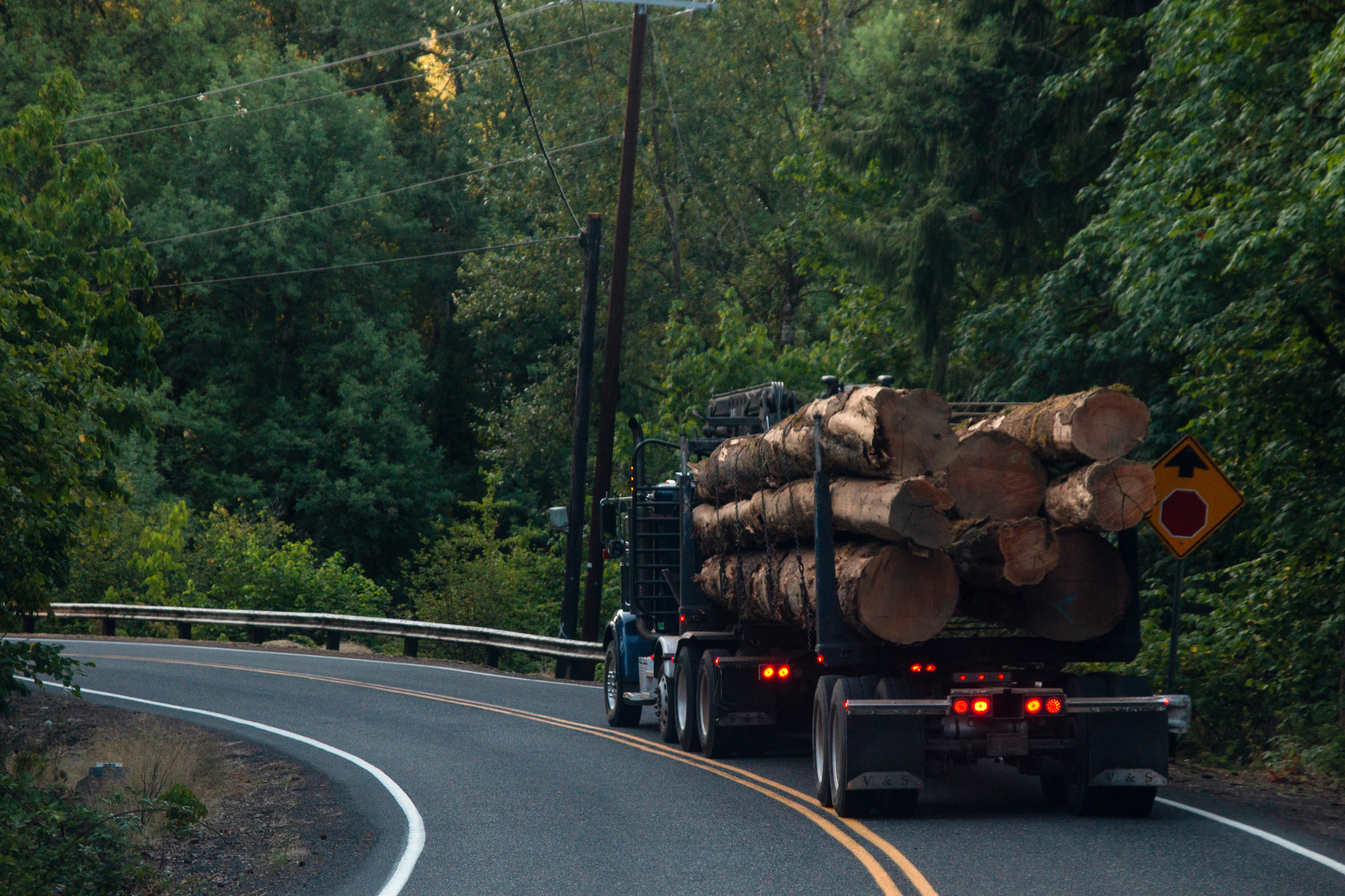 Image of logs being transported to the Portland Zoo.