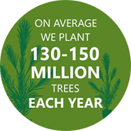 We plant about 130-150 million trees each year