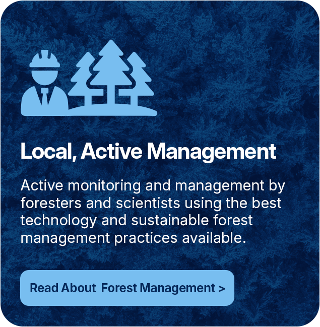 Local Active Management. Active monitoring and management by foresters and scientists using the best technology and sustainable forest management practices available.