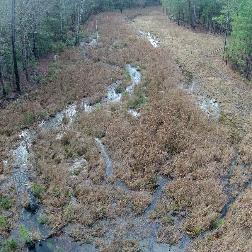 Image of Bachelors Delight mitigation bank in North Carolina.