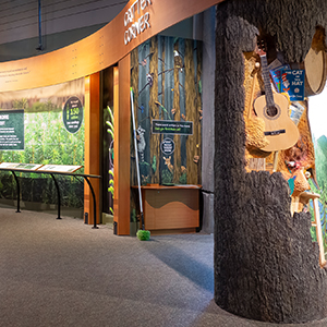 Forest Learning Center Exhibit 