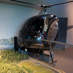 Forest Learning Center Exhibit 