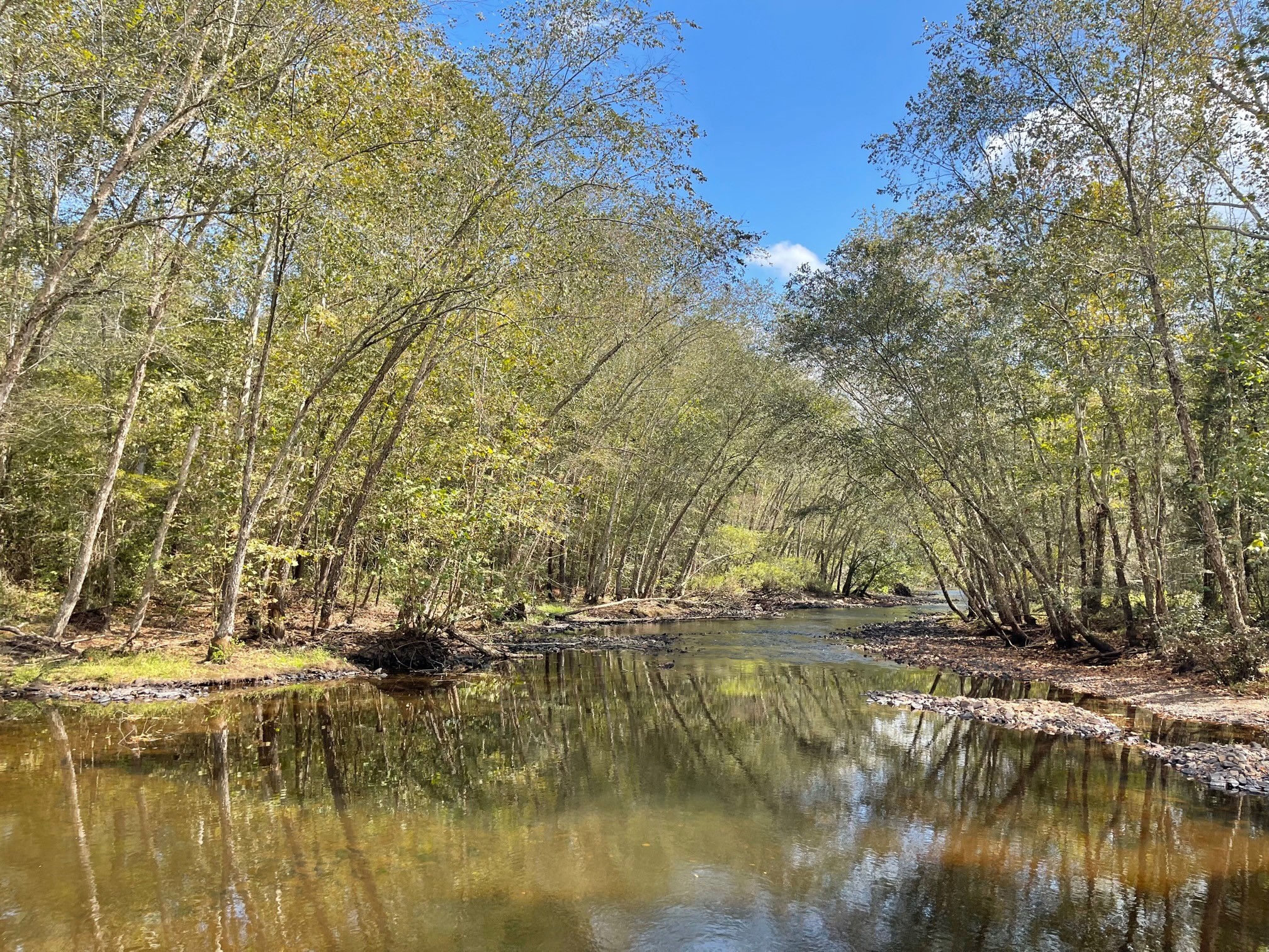 Downstream view of the Saline River in southwest Arkansas.