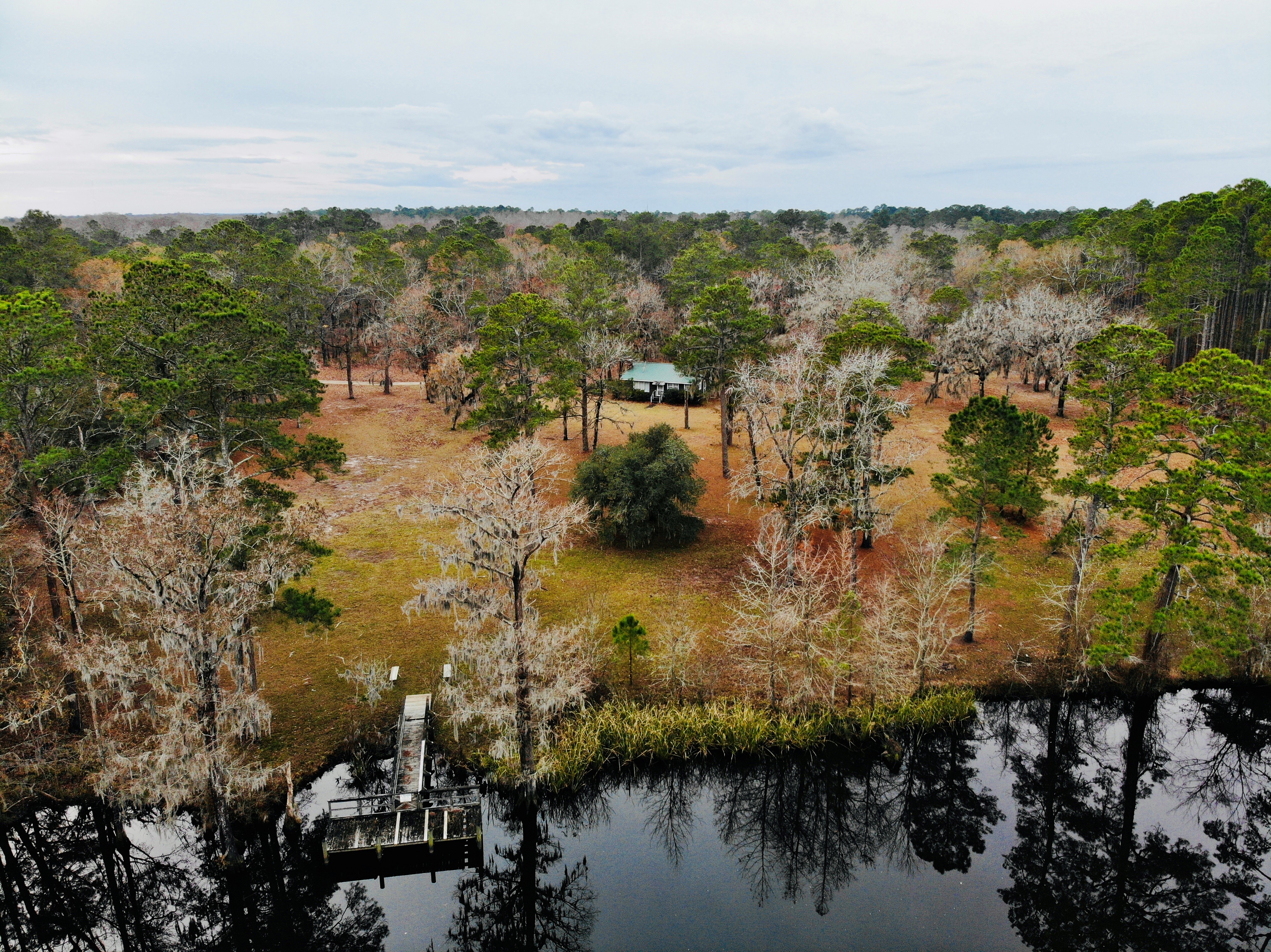 Image of the dock at the Cool Springs Enviornmental Education Center.