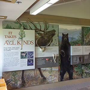 Forest Learning Center Exhibit 