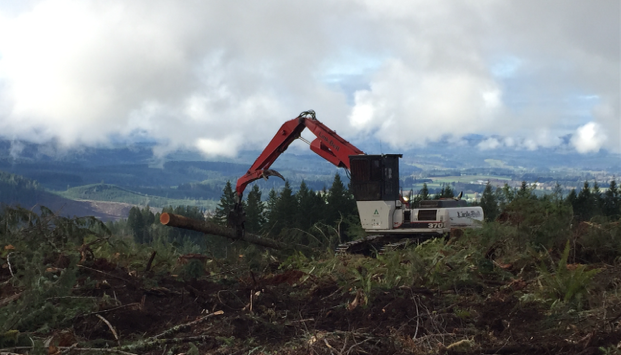 Weyerhaeuser vehicle lifting timber from field.