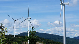 Image of windmills rising above a treeline.