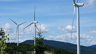 Image of windmills rising above a treeline.