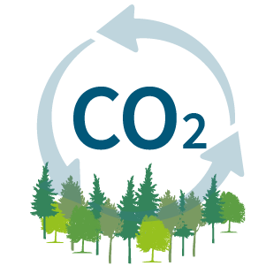 Wood Products Store CO2