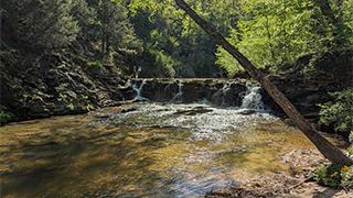 Image of dam in virginia that was removed to open waterways for endangered spinymussels and other species.