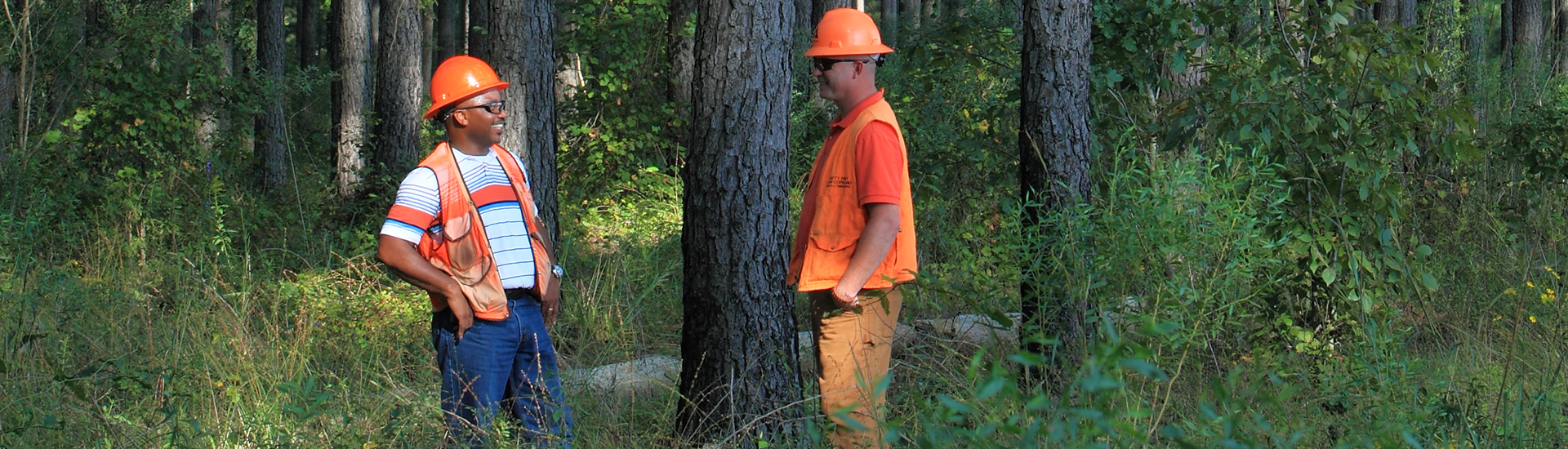 weyerhaeuser millport alabama weyerhaeuser millport alabama