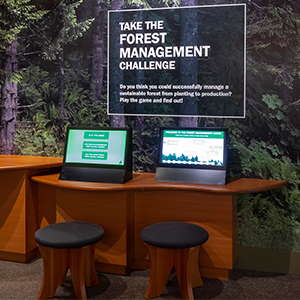 Forest Learning Center Exhibit 