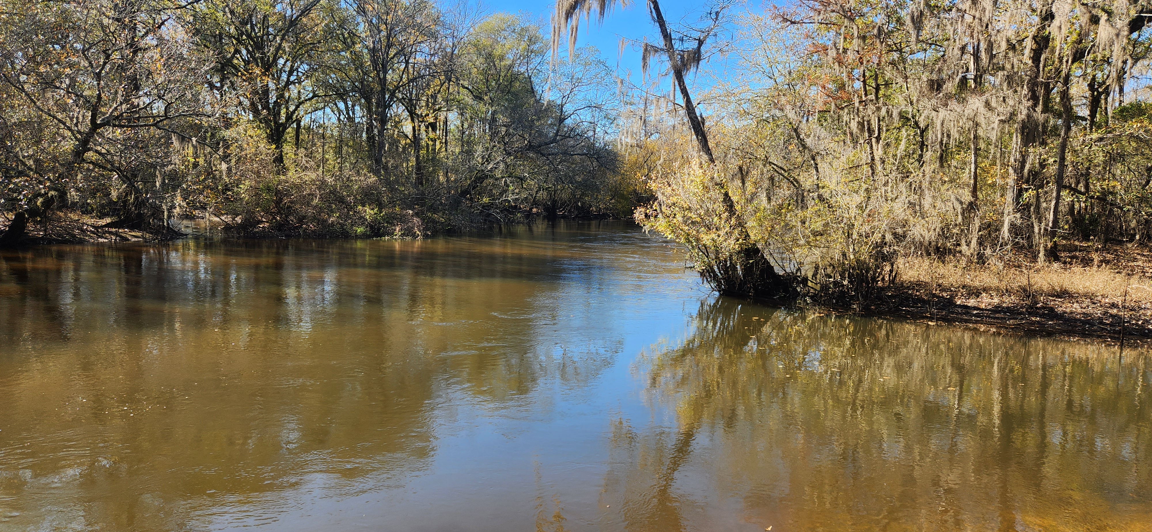 Image of the Ogeechee River mitigation banking area, located in Georgia.