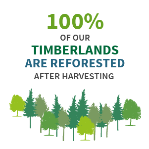 100% of our timberlands are reforested after harvesting