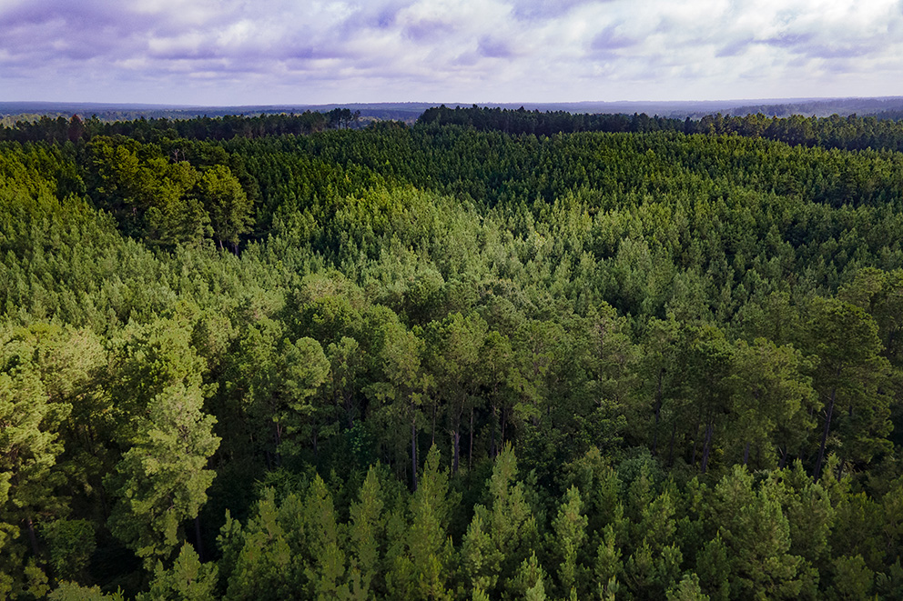 Climate-forward Management