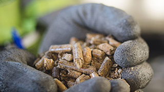 Wood pellets made from sawdust and other wood fiber products