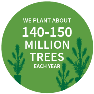 We plant about 140-150 million trees each year