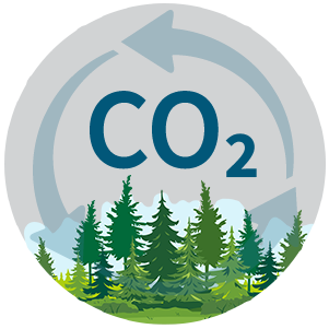 Wood Products Store CO2