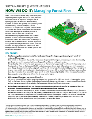 We Do It: Managing Forest Fires (Click To Read)