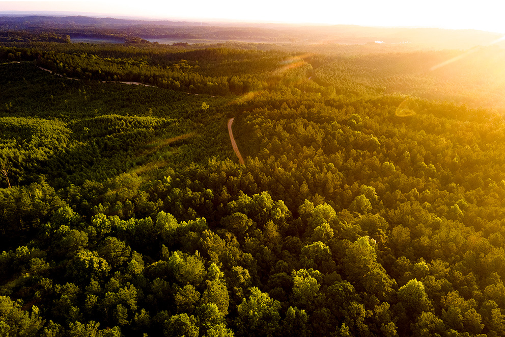 Climate-forward Management