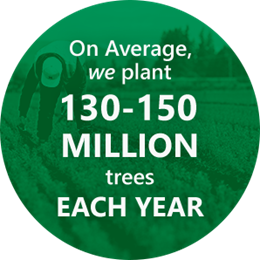 U.S. West Log Sales | Weyerhaeuser
