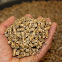 Image of compressed wood pellets