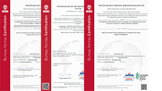 Image of SFI certificates.