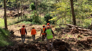 Image of a Wood Products external audit taking place.